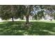 Green community lawn with mature trees and parked cars at 3712 3Rd W Ave, Palmetto, FL 34221