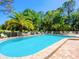 Inviting community pool with lounge chairs and palm trees at 4427 Longmeadow # 48, Sarasota, FL 34235