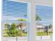 Bright window view with plantation blinds overlooks lush palms and tropical landscaping at 3063 Novara Ln, Lakewood Ranch, FL 34211