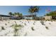 Siesta Beach amenities with palm trees and pavilion at 1300 N Portofino Dr # 208, Sarasota, FL 34242
