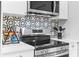 Contemporary kitchen with stainless steel appliances and a stylish backsplash at 807 E Genesee St, Tampa, FL 33603