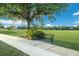 Peaceful park with a bench under a large tree at 14813 Skip Jack Loop, Lakewood Ranch, FL 34202