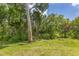 Private backyard with mature trees and natural Florida landscape at 1711 Starling Dr # 1711, Sarasota, FL 34231
