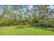 Lush backyard with tall trees and grassy area at 360 N Point Rd, Osprey, FL 34229