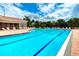 Resort-style pool with lap lanes and plenty of lounge space at 4271 Cascade Falls Dr, Sarasota, FL 34243