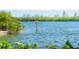 Calm water view with natural vegetation at 815 Tropical Cir, Sarasota, FL 34242