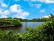 Serene waterfront view with lush greenery and calm water at 815 Tropical Cir, Sarasota, FL 34242