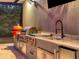 Outdoor kitchen with stainless steel appliances at 17706 Bridlewood Ct, Parrish, FL 34219
