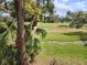 Scenic golf green view, with a glimpse of a green, with natural elements dominating the scene at 7673 Fairway Woods Dr # 706, Sarasota, FL 34238