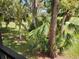 Lush trees featuring a view of a manicured lawn, offering shade and a tranquil atmosphere at 7673 Fairway Woods Dr # 706, Sarasota, FL 34238