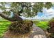 Brick pathway under a large oak tree leading to waterfront at 6157 Midnight Pass Rd # C12, Sarasota, FL 34242