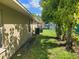 Large backyard with grassy area and trees at 707 13Th W St, Palmetto, FL 34221