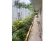 Landscaped walkway with lush greenery and a white fence at 1928 9Th St, Sarasota, FL 34236