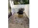 Private patio with potted plant and gravel at 3500 El Conquistador Pkwy # 307, Bradenton, FL 34210