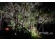 Landscaped grounds beautifully lit at night at 3500 El Conquistador Pkwy # 307, Bradenton, FL 34210