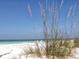 Relaxing beach view with white sand and beach grass at 549 Sloop Ln, Longboat Key, FL 34228