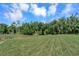 Spacious grassy backyard with a natural wooded backdrop at 221 Evergreen St, Punta Gorda, FL 33982