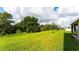 Grass backyard bordered by trees and privacy fence at 17571 Cantarina Cv, Bradenton, FL 34211