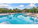 Community pool featuring clear blue water, surrounded by palm trees and lounge chairs under a sunny sky at 8809 Manor Loop # 102, Lakewood Ranch, FL 34202