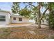 Lush backyard with mature trees and a stone pathway, creating a tranquil setting at 2232 River Ridge Dr, Sarasota, FL 34239