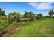 Serene waterfront view with lush greenery and palm trees at 3413 Clark Rd # 114, Sarasota, FL 34231