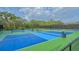 Well-maintained pickleball courts with green and blue surfaces at 7217 Churston Ln, University Park, FL 34201
