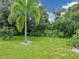 Landscaped backyard with a palm tree and natural greenery at 6747 Coyote Ridge Ct, Bradenton, FL 34201