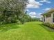 Green grassy backyard bordered by mature trees and landscaping at 6747 Coyote Ridge Ct, Bradenton, FL 34201