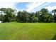 Lush green backyard showing a spacious lawn, mature trees, and offering a serene and private outdoor space at 15923 29Th E St, Parrish, FL 34219