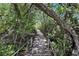 Wooden boardwalk pathway through lush greenery at 13 Tidy Island Blvd # 13, Bradenton, FL 34210