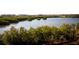 Waterfront property with lush vegetation and calm waters at 9949 Key Haven Rd, Seminole, FL 33777