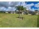 Large backyard with spacious lawn, palm trees and a screened patio at 7407 64Th E St, Palmetto, FL 34221