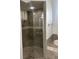 Bathroom with a large walk-in shower at 10228 Silverado Cir, Lakewood Ranch, FL 34202