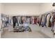 Spacious walk-in closet with custom shelving and hanging racks for clothes and shoes at 9478 Tequila Sunrise Dr, Sarasota, FL 34241