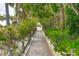 Brick pathway through lush tropical landscaping at 1020 Sun N Sea Dr # 102, Sarasota, FL 34242