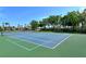 Well-maintained tennis court available for residents at 1130 Cielo Ct, North Venice, FL 34275
