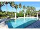 Inviting community pool surrounded by palm trees and lush landscaping at 1130 Cielo Ct, North Venice, FL 34275