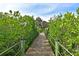 Scenic wooden boardwalk amidst vibrant greenery and shady trees in the community at 4532 Shark Dr, Bradenton, FL 34208