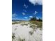 White sand beach with dune vegetation; access to the beach with beautiful ocean view at 1603 Gulf N Dr # 5, Bradenton Beach, FL 34217