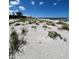 White sand beach with dune vegetation; access to the beach with beautiful ocean view at 1603 Gulf N Dr # 5, Bradenton Beach, FL 34217