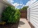 Landscaped side yard with a walkway, lush greenery, and a metal storage shed at 5310 N Tuttle Ave, Sarasota, FL 34234