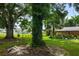 Large tree with ivy and a spacious lawn at 1525 17Th W St, Palmetto, FL 34221