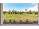 Private backyard view from covered patio, featuring lush lawn at 2803 Butterfly Jasmine Trl, Sarasota, FL 34240