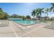 Community pool with lounge chairs and palm trees at 3410 Spanish Oak Ter, Sarasota, FL 34237