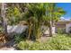 Home's stucco exterior complements the lush tropical landscaping, including mature palm trees at 3601 Quail Hollow Ln, Bradenton, FL 34210