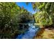 Lush greenery surrounds a serene pond at 3601 Quail Hollow Ln, Bradenton, FL 34210