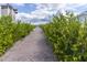 Brick pathway lined with lush greenery, leading to waterfront views at 1922 6Th St E, Palmetto, FL 34221