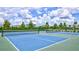 Two pickleball courts with blue and green surface at 16162 61St E Ln, Parrish, FL 34219
