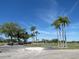 Scenic golf course view with palm trees and golf carts under a clear blue sky at 4939 Lakescene Pl, Sarasota, FL 34243