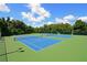 Two well-maintained tennis courts for recreation at 12271 Lavender Loop, Bradenton, FL 34212
